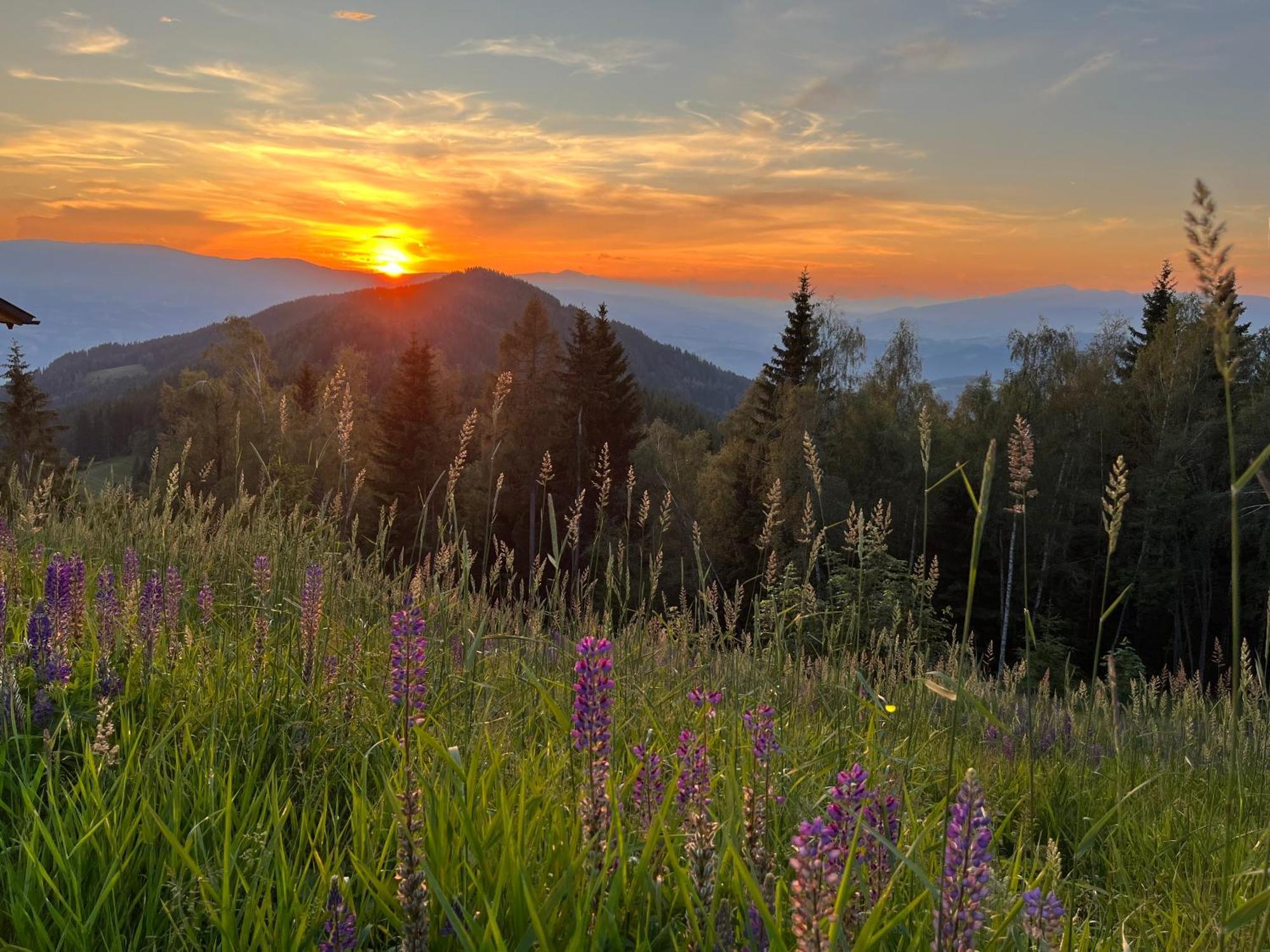 Feriendorf Koralpe Alpenrose Frantschach Zewnętrze zdjęcie